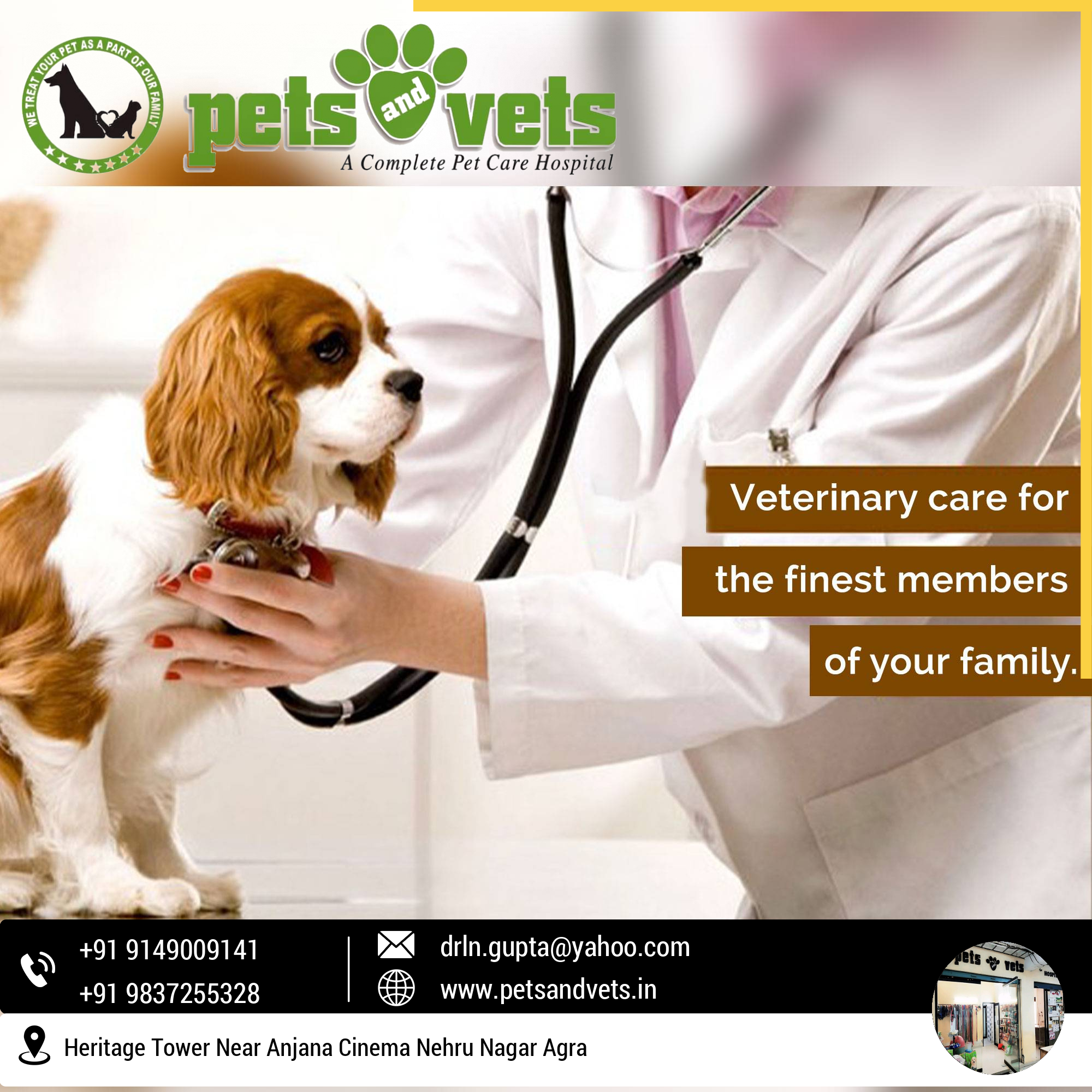 Pets and vets animal 2024 hospital